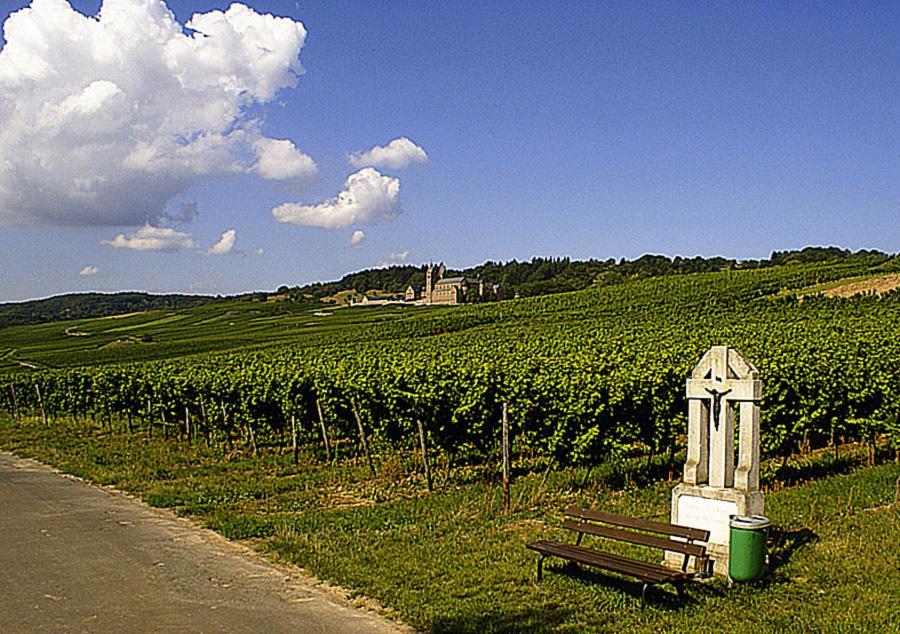 Weingut Magdalenenhof Hotel Ruedesheim am Rhein Exterior photo