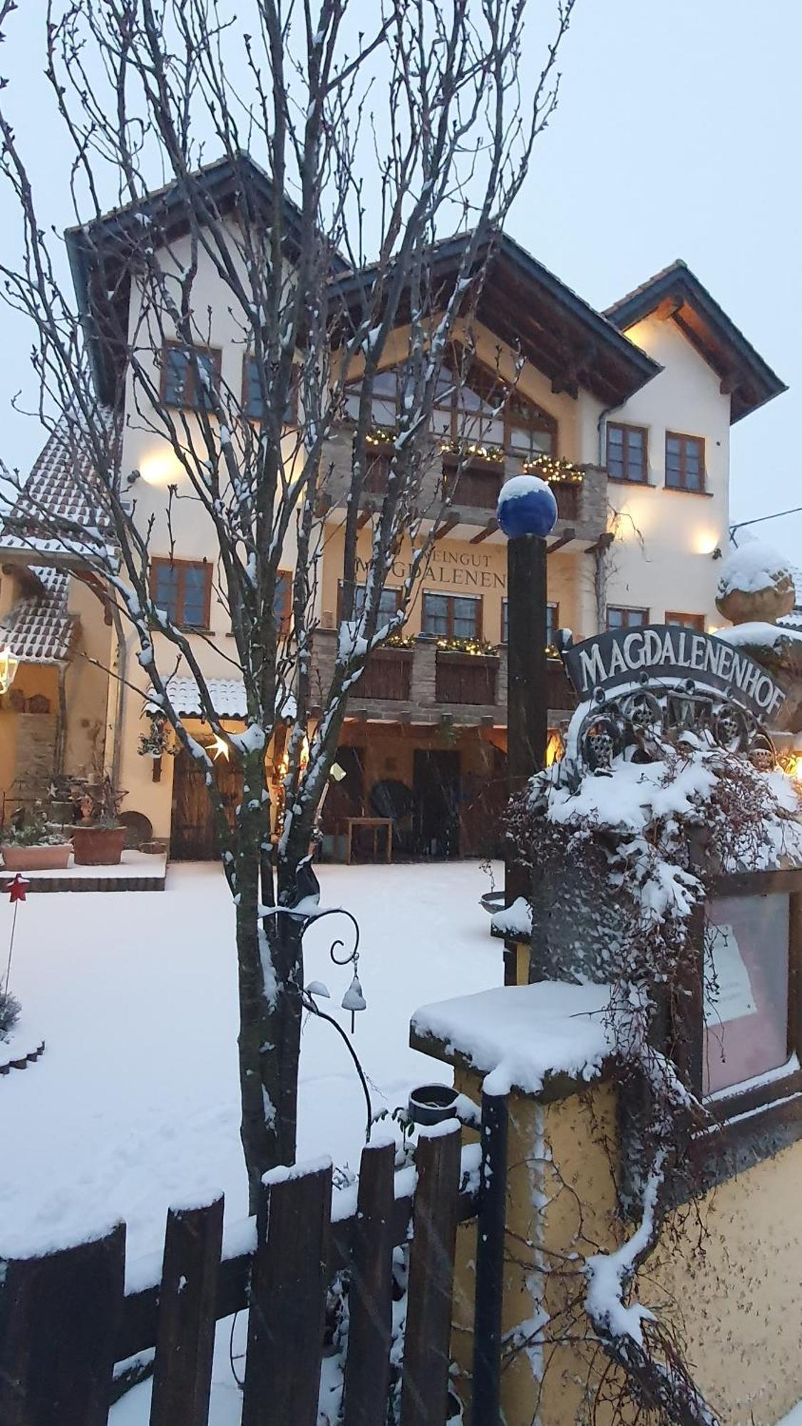 Weingut Magdalenenhof Hotel Ruedesheim am Rhein Exterior photo