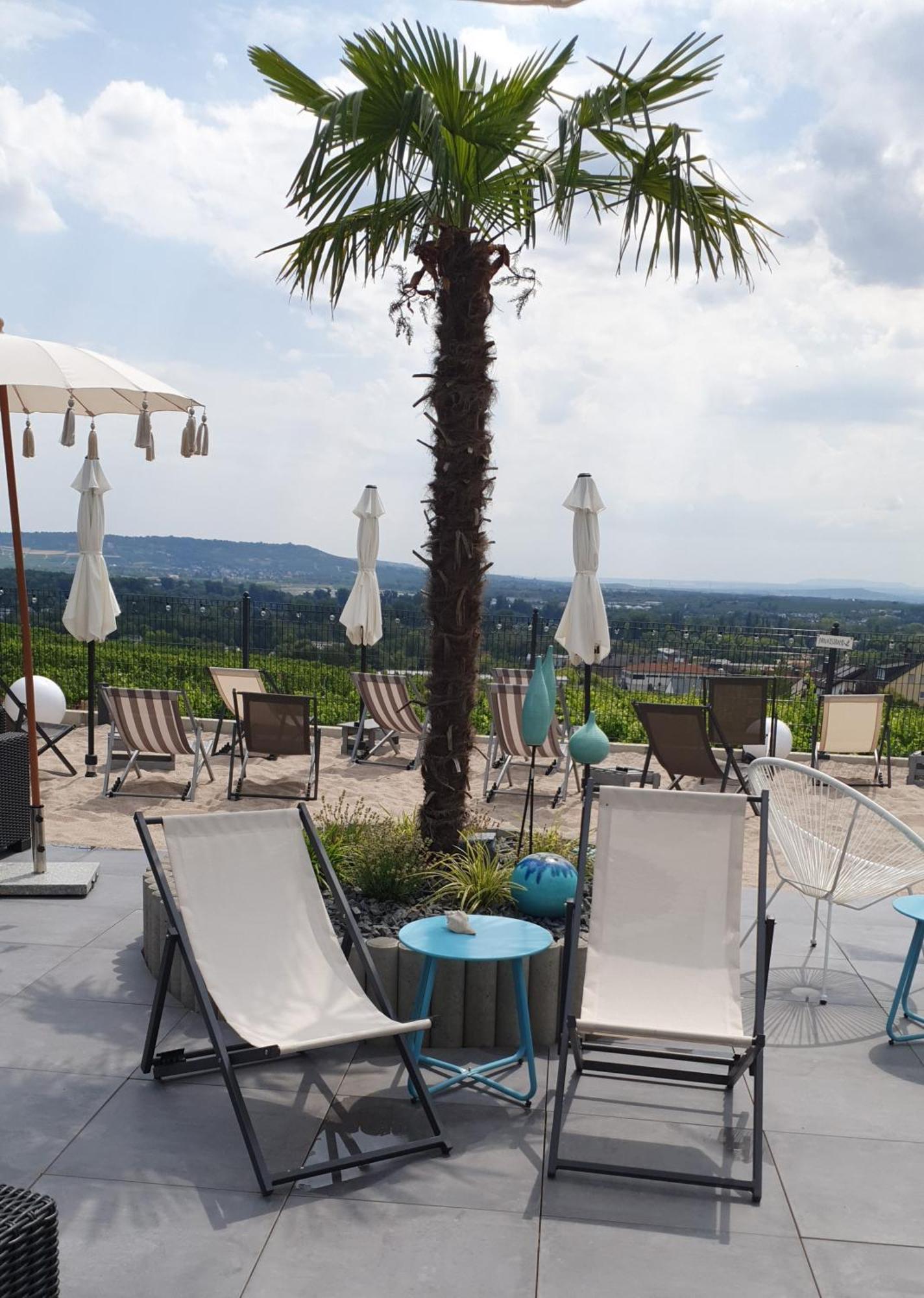 Weingut Magdalenenhof Hotel Ruedesheim am Rhein Exterior photo