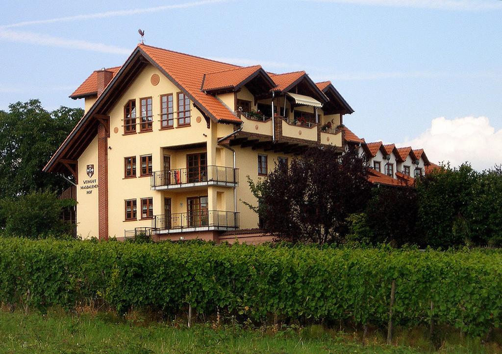 Weingut Magdalenenhof Hotel Ruedesheim am Rhein Exterior photo